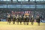 Cavalry - 00285